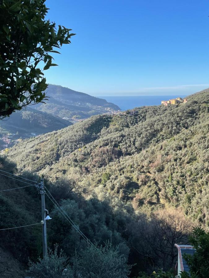 Vignana Le Case Di Petra מראה חיצוני תמונה