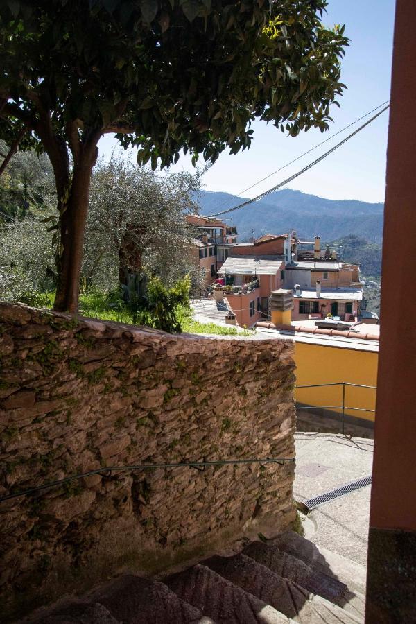 Vignana Le Case Di Petra מראה חיצוני תמונה