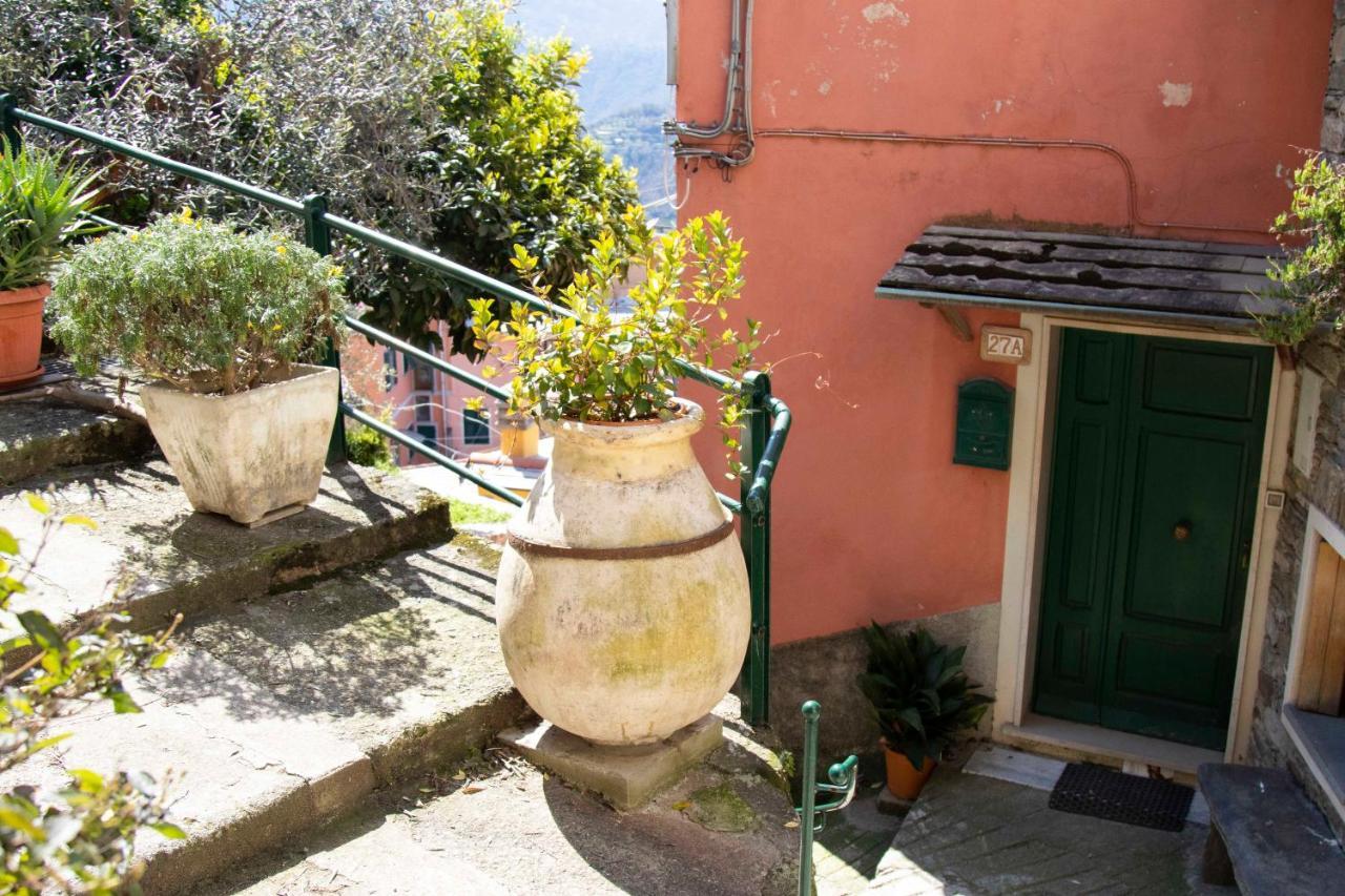 Vignana Le Case Di Petra מראה חיצוני תמונה